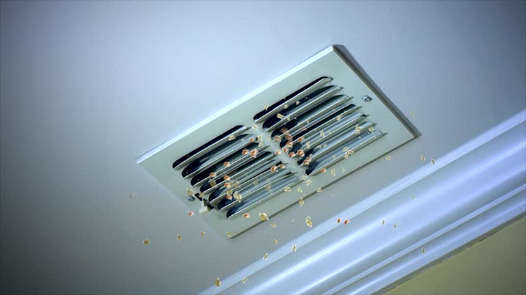 Best Emergency Air Duct Cleaning  in Bridgeport, TX